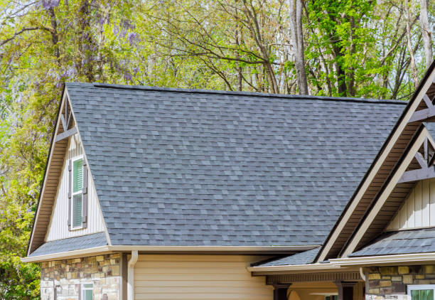 Professional Roofing Services in Homestead Meadows North, TX